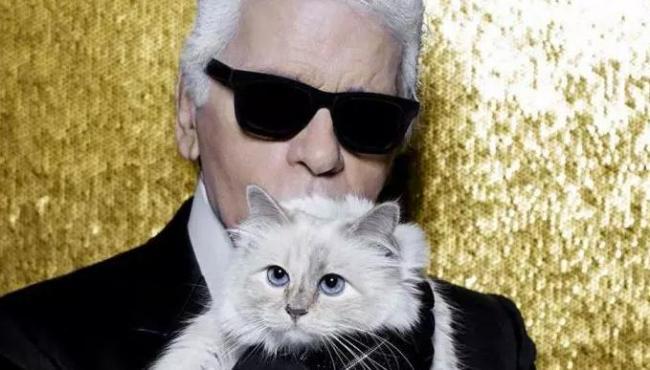 Kočka Karla Lagerfelda bude možná dědit. Choupette může získat 195 milionů dolarů!
