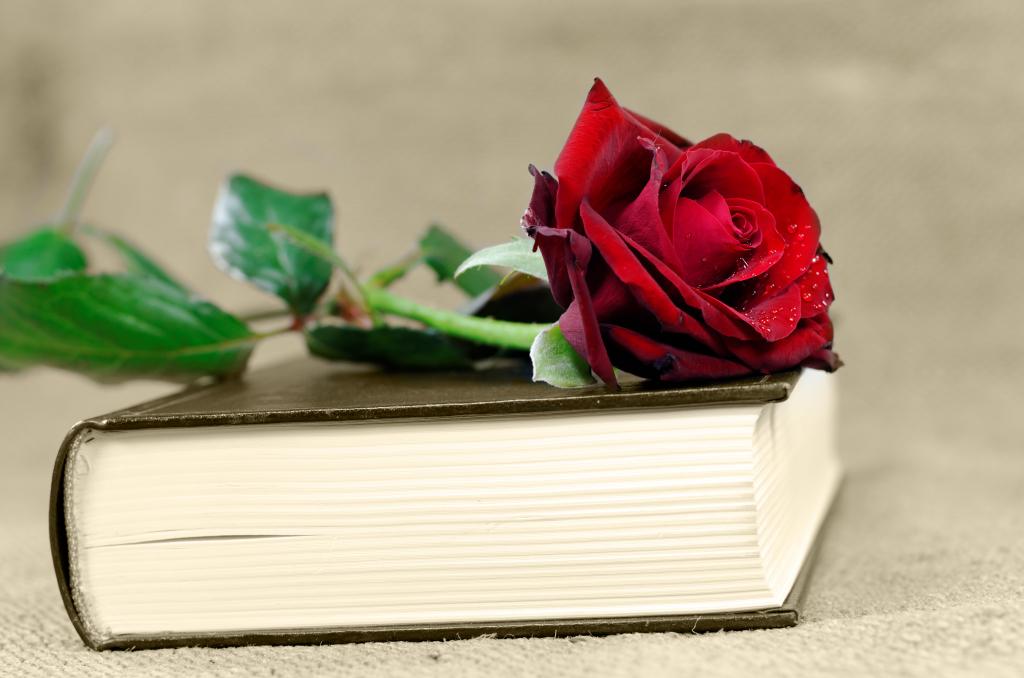 Co si můžete vzít z romantických knih?